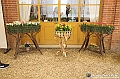 VBS_1998 - Inaugurazione Messer Tulipano 2025